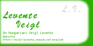 levente veigl business card